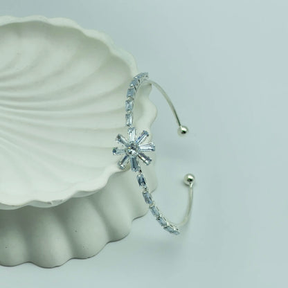 VIP Kaplama Silver Kelepçe